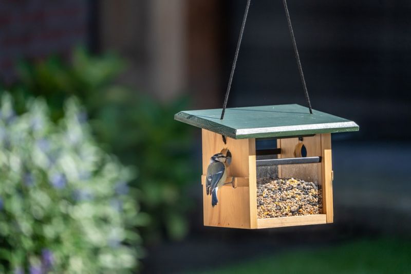 CJ Wildlife Eindhoven - Voederhuis - 20x28.5x16.5 cm