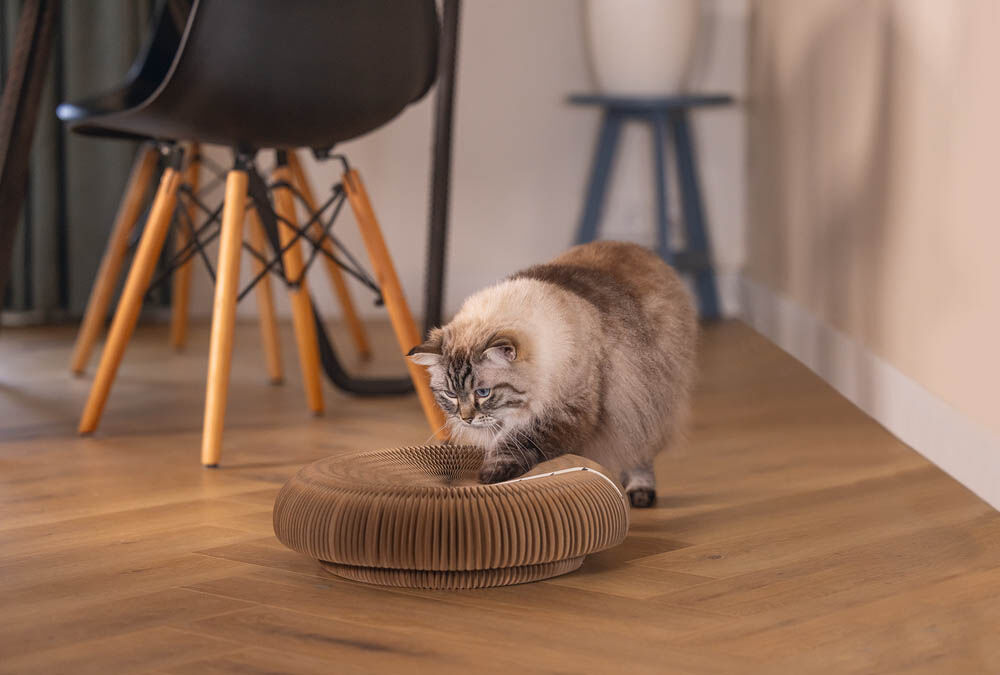 Beeztees Siep - Krabspeelgoed - Beige - 1x38x1 cm