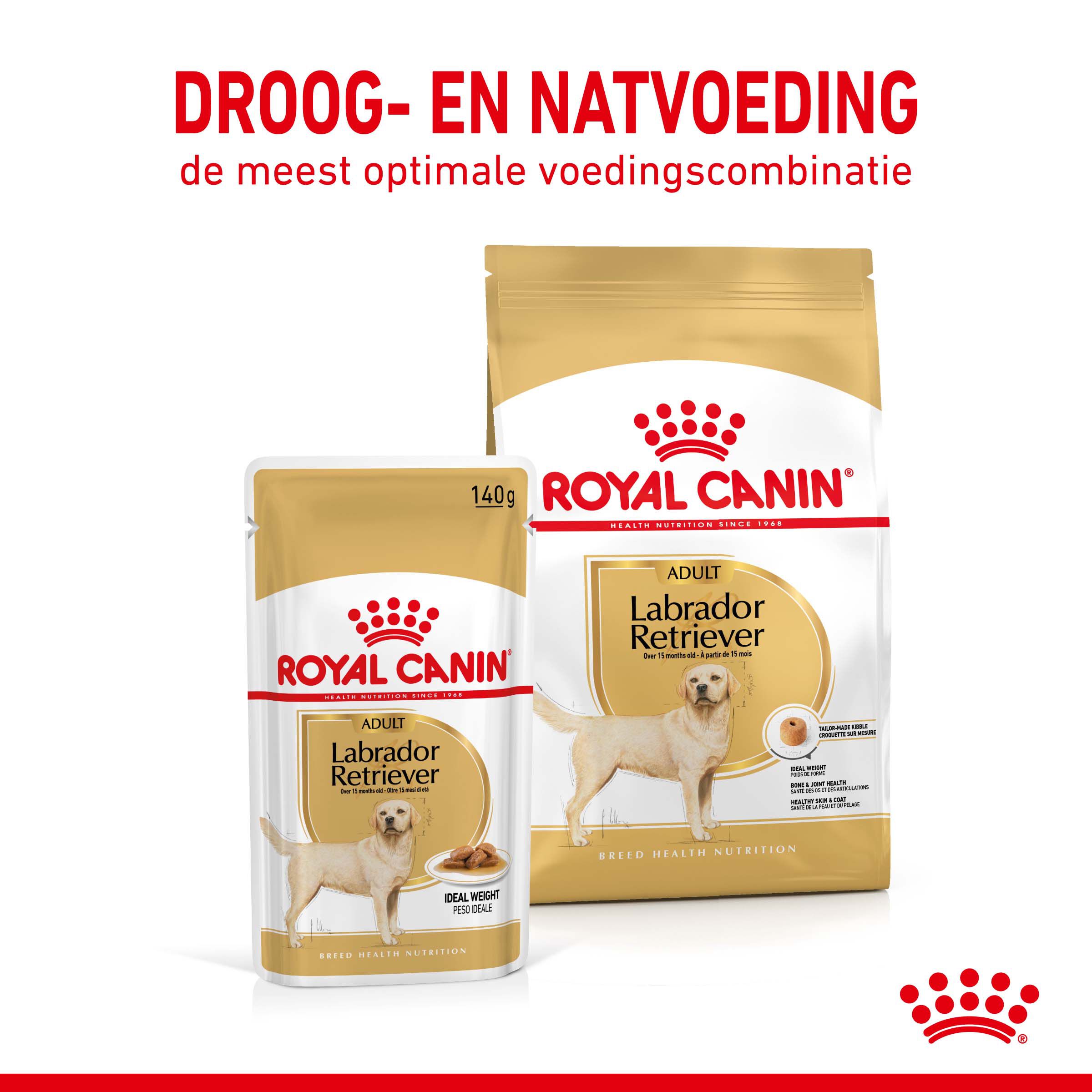 ROYAL CANIN® Adult Labrador Retriever Natvoer 10x 140gr - Hondenvoer - 1400 Gram - gevogelte