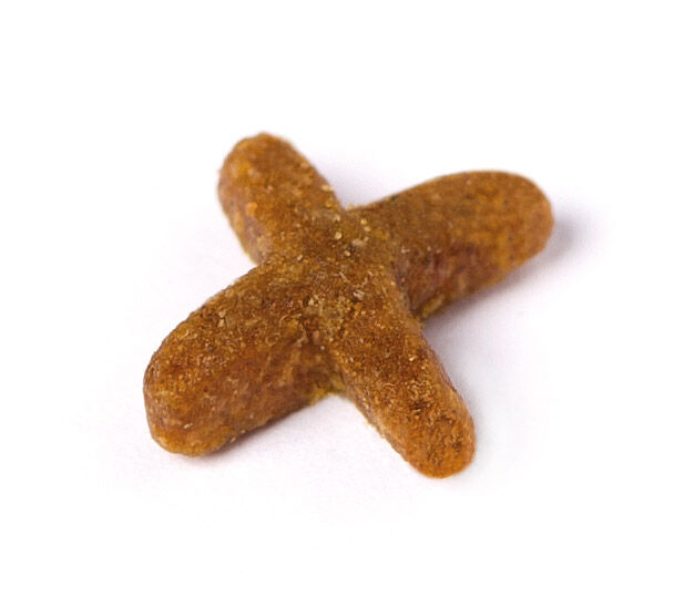 Prins VitalCare Indoor - Kattenvoer - 10 Kilogram - gevogelte