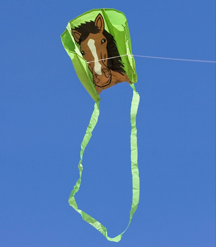 Beeztees Premium Parinca - Hondenriem - grijs - 120 cm Beeztees Premium Parinca - Hondenriem - grijs - 120 cm