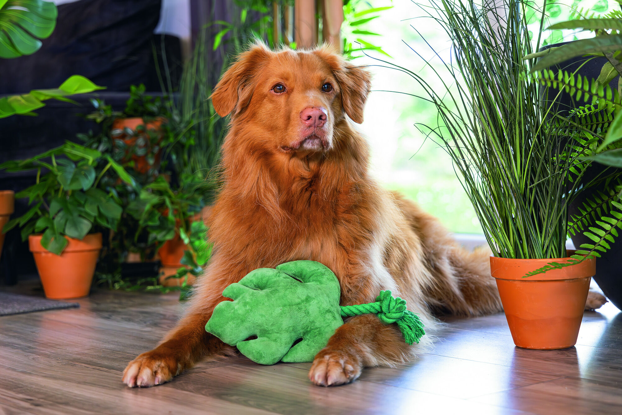 Beeztees Jungle Blad - Pluche Knuffel - Flostouw - Hondenspeelgoed