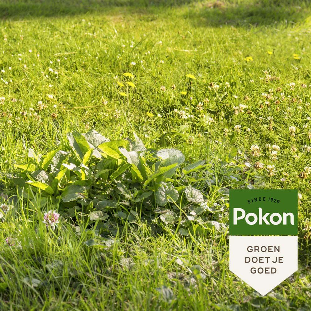 Pokon Onkruid weg - Gazonmeststof - 120 m2 - 2400 Gram