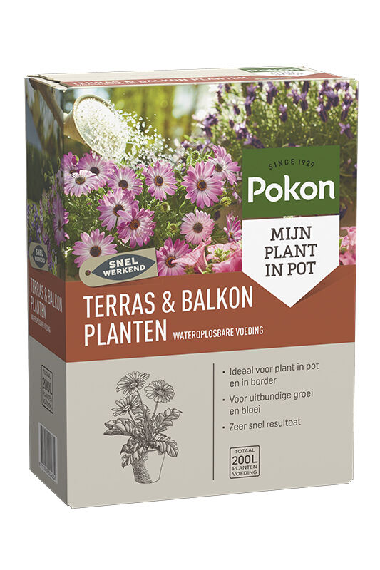 Pokon Wateroplosbare voeding - Siertuinmeststof - 500 Gram