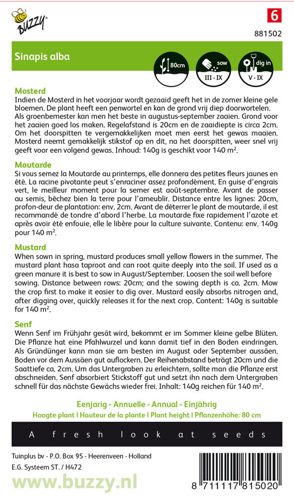Buzzy Gele mosterd Sinapis alba - Groenbemester