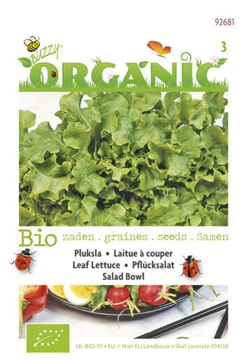 Buzzy Pluksla Lactuca sativa Green Salad Bowl - Sla