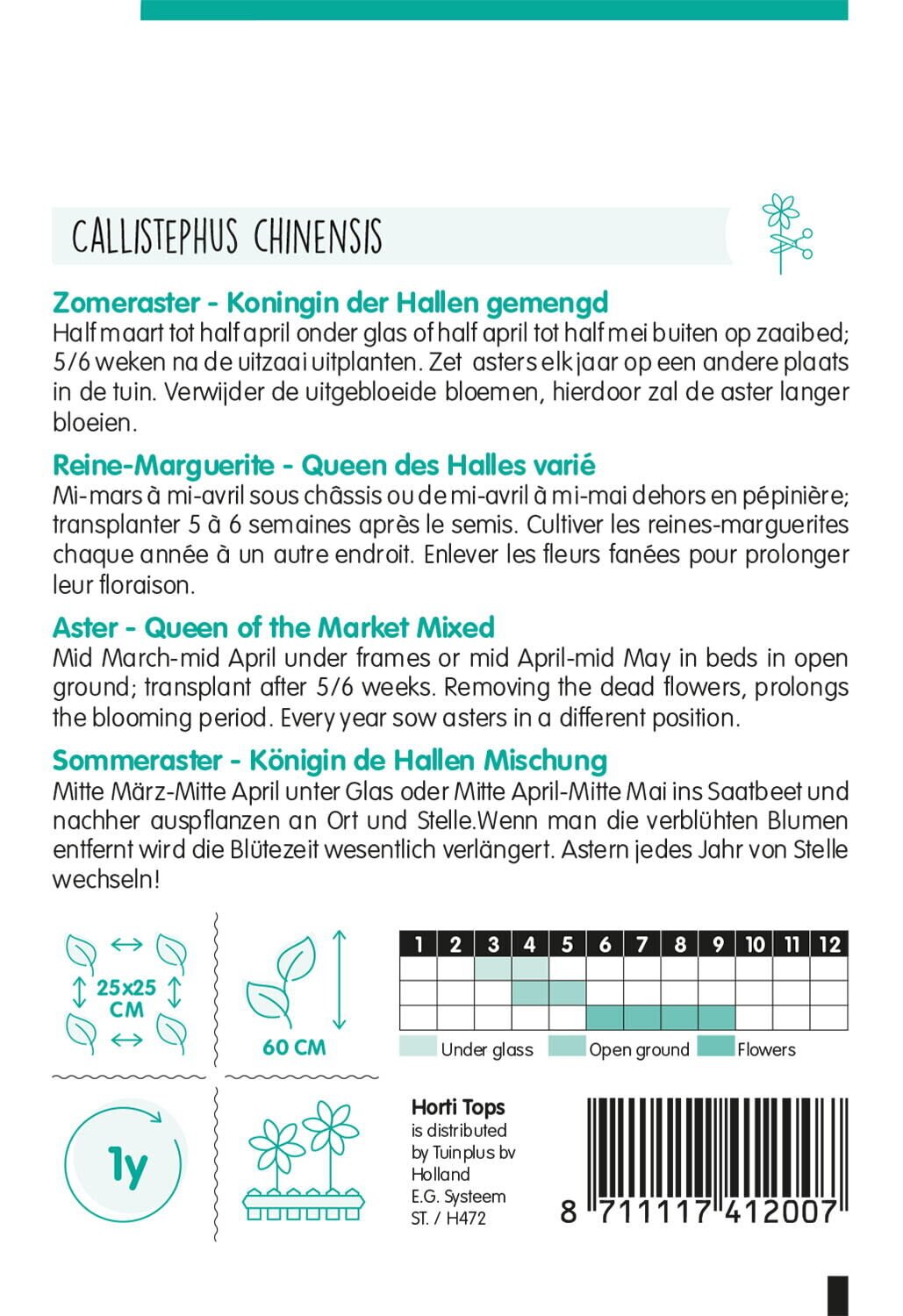 Hortitops Zomeraster Reine Des Halles - Bloemzaden