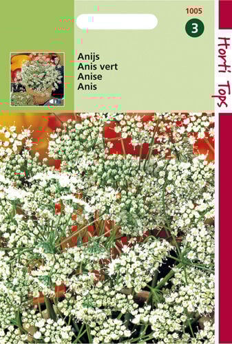 Hortitops Anijs Pimpinella anisum - Kruidenzaden