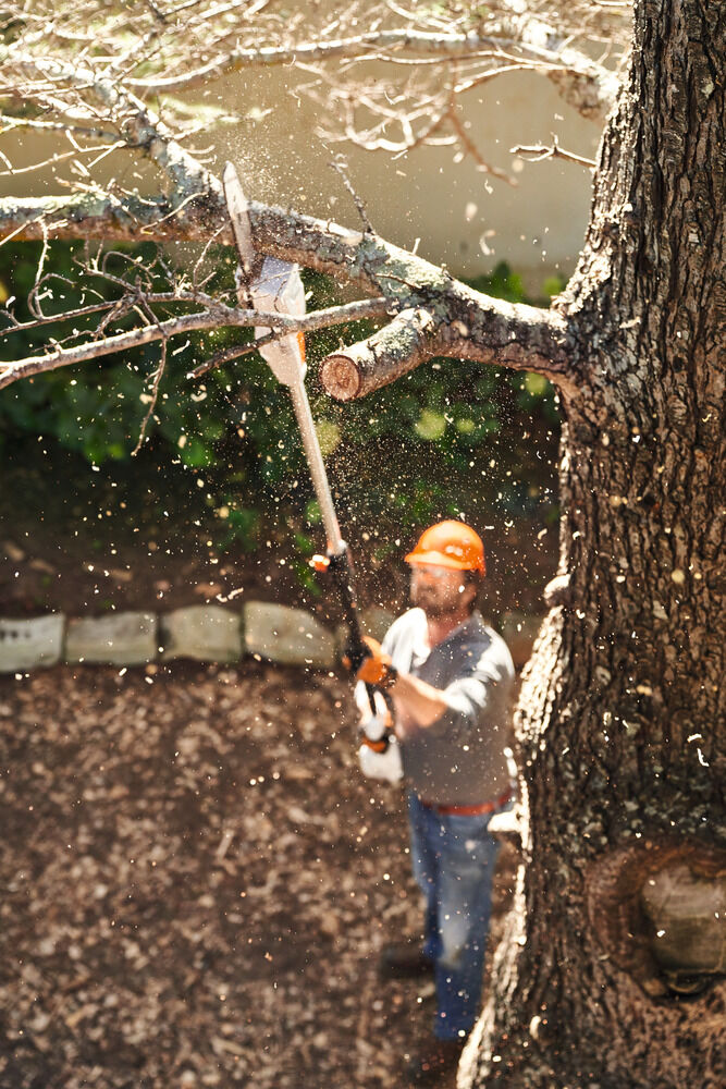 STIHL HTA 50 - Snoeizaag (excl. accu en lader) -