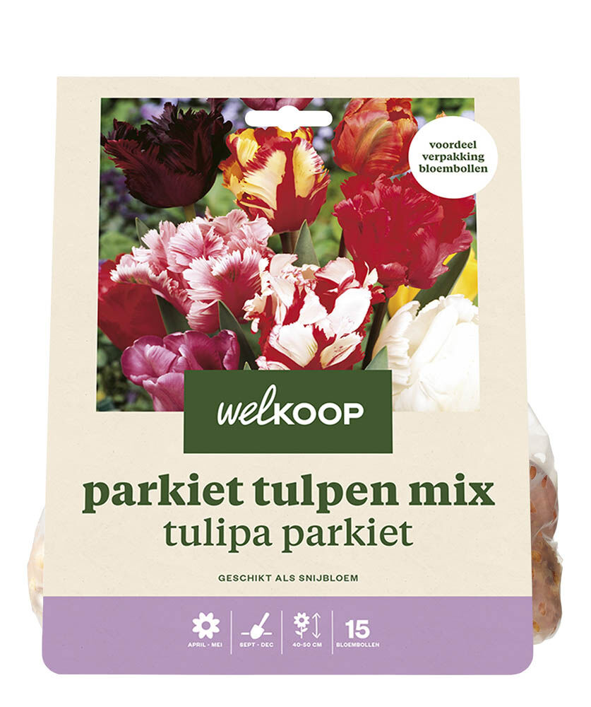 Welkoop Tulpen mix Eline - Bloembollen