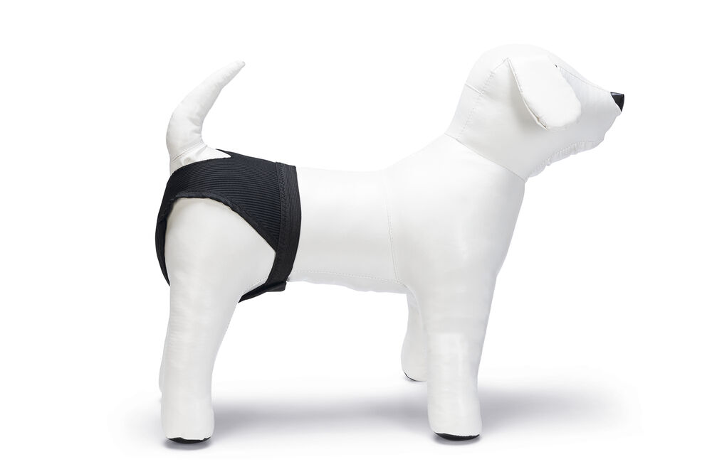 Beeztees - Loopsheidbroekje - Hond - Zwart - 2XL