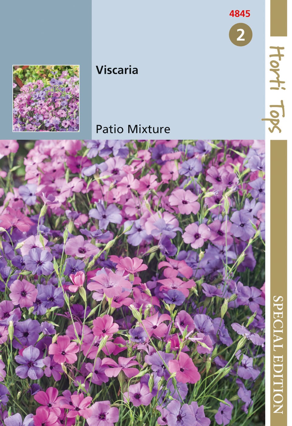 Hortitops Viscaria Patio mix Viscaria oculata - Bloemzaden