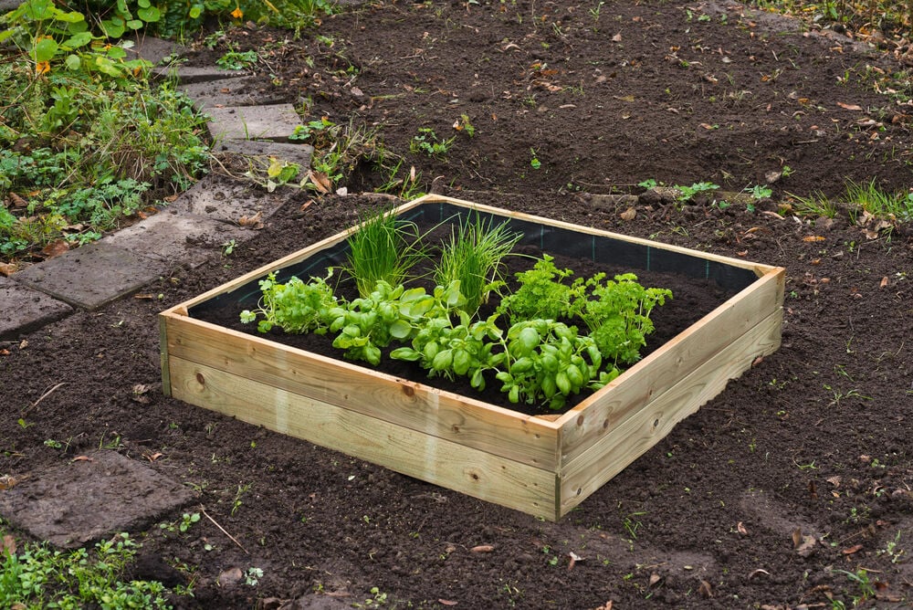 Nature - Gronddoek - 10x134x1 cm