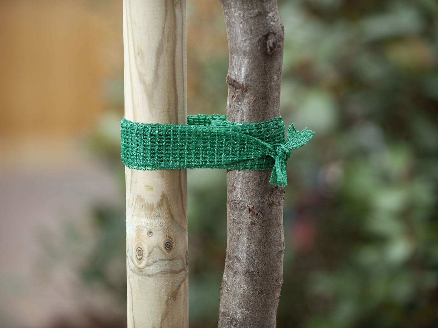 Nature Boomband - 200x4cm - Touw en Bindmaterialen
