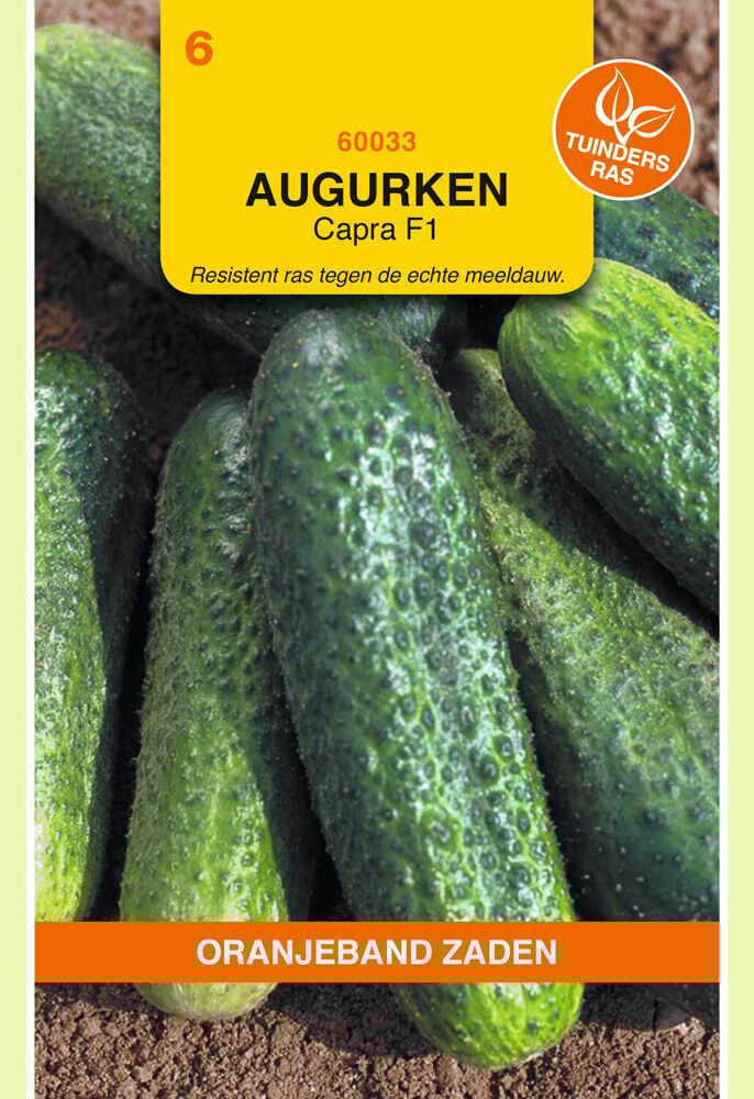 Oranjeband zaden Augurken Captra F1 - Groentezaden