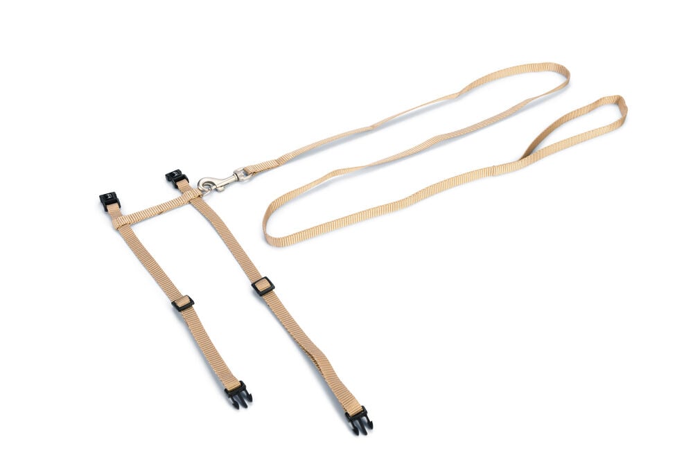 Beeztees - Kattentuigje - Beige