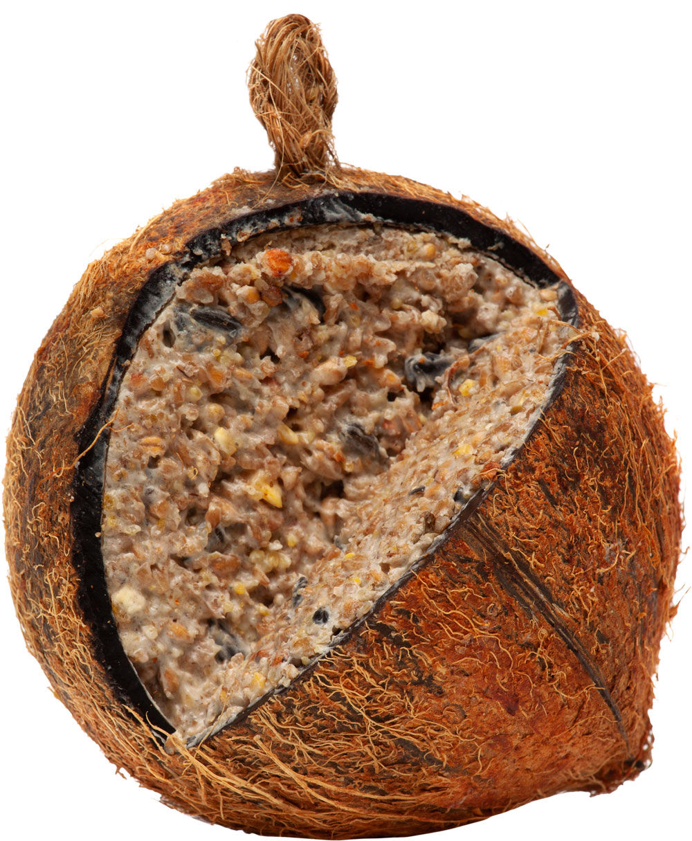 Welkoop Gevulde kokosnoot - Tuinvogelvoer - 380 Gram