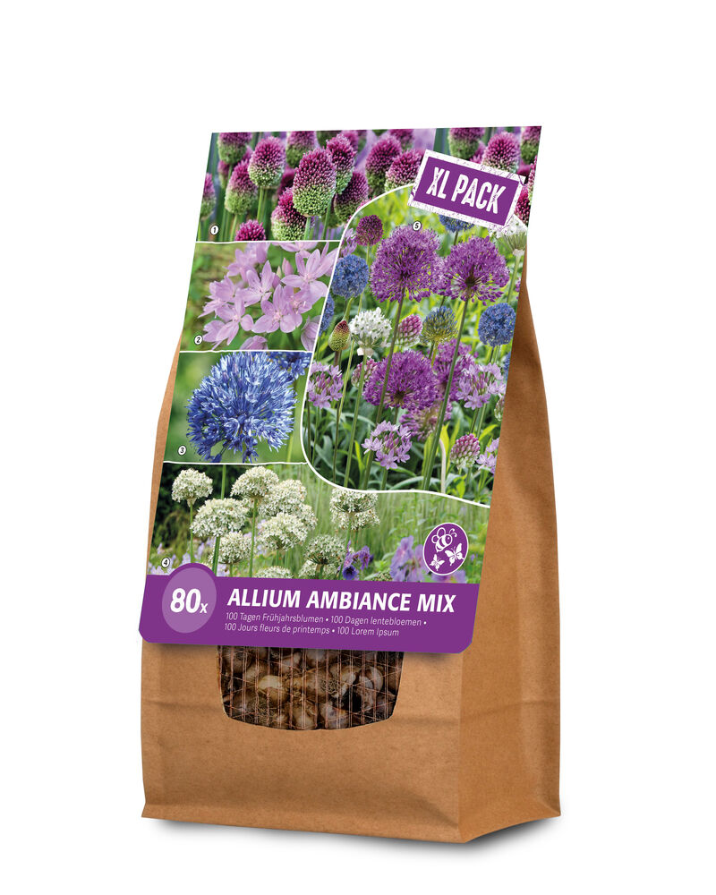 Florex Ambiance Allium - Bloembollen - XL zak Florex Ambiance Allium - Bloembollen - XL zak