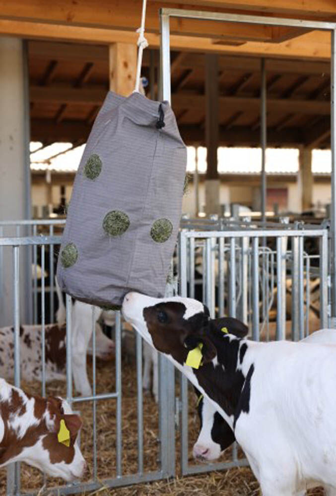 Kerbl HayBag - Hooizak - Grijs - 50x50x70 cm