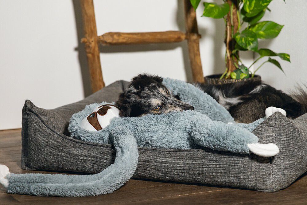 Beeztees Luiaard Knuffel - Hondenspeelgoed - Grijs - 16x30x80 cm - XL
