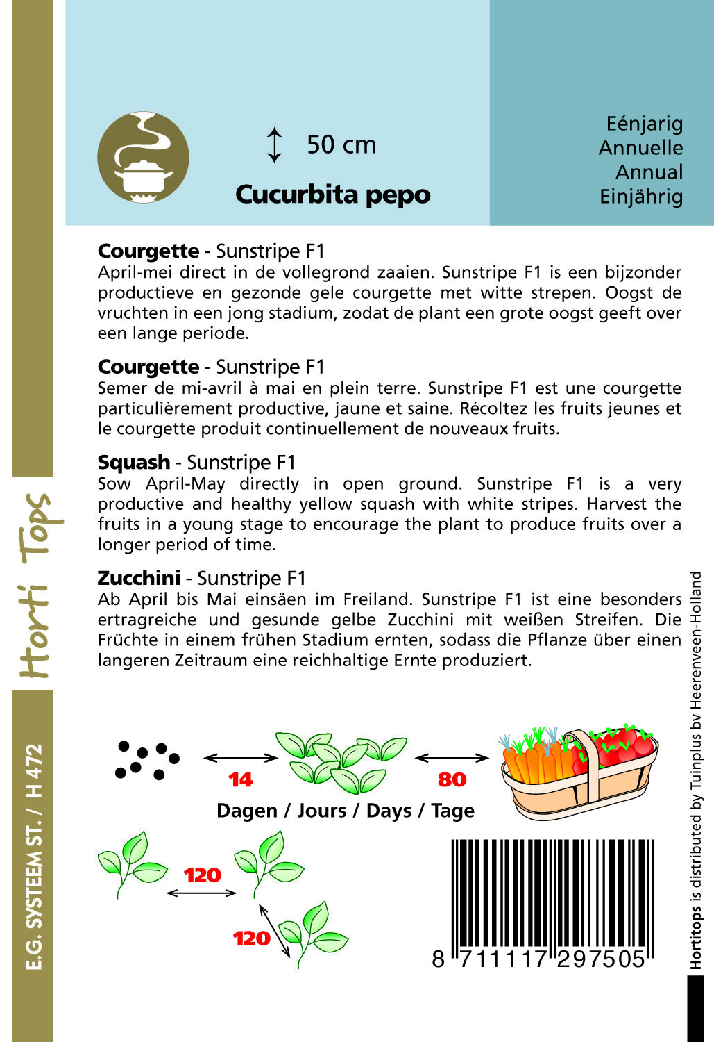 Hortitops Courgette Sunstripe geel F1 Cucurbita pepo - Groentezaden