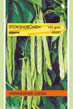 Oranjeband zaden Stoksnijbonen Algarve - Groentezaden