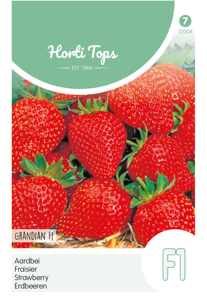 Hortitops Aardbeien Fragaria x ananassa Sarian F1 - Fruitzaden