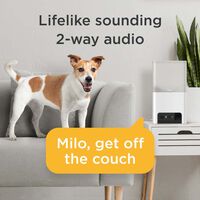 Petcube Bites 2 Lite - Pet Camera - Met Nachtvisie - Met Snack Functie - Wit