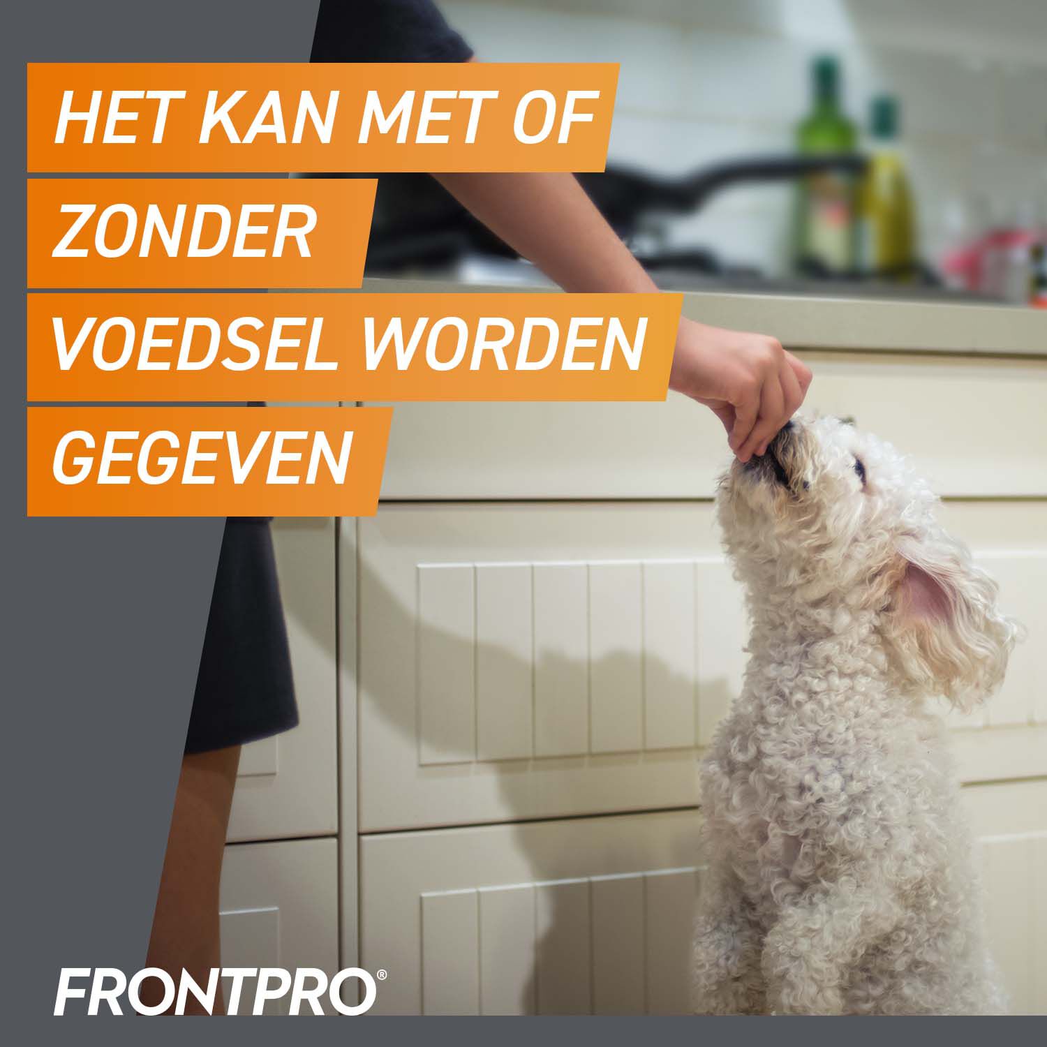Frontpro Kauwtablet - Anti Vlooien en teken Hond - XL - 3 Stuks - XL