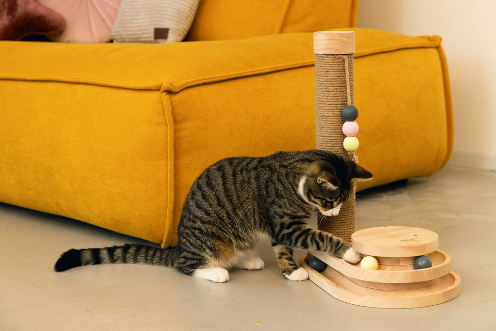 Designed by Lotte Inez - Krabpaal - Naturel - 38x38x47.5 cm