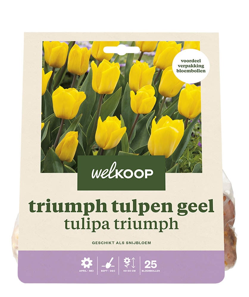 Welkoop Tulp Lune - Bloembollen