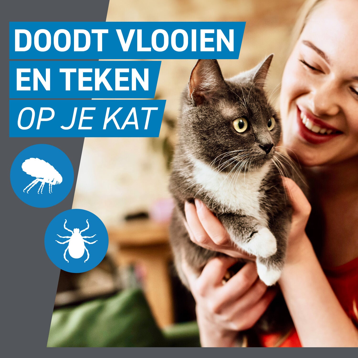 Frontline Spot On - Vlooien en tekenpipet - 3 pipetten - 3 Stuks