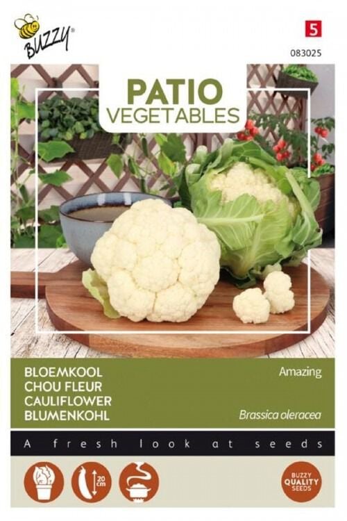 Buzzy Patio Veggies Bloemkool Amazing - Groentezaden Buzzy Patio Veggies Bloemkool Amazing - Groentezaden