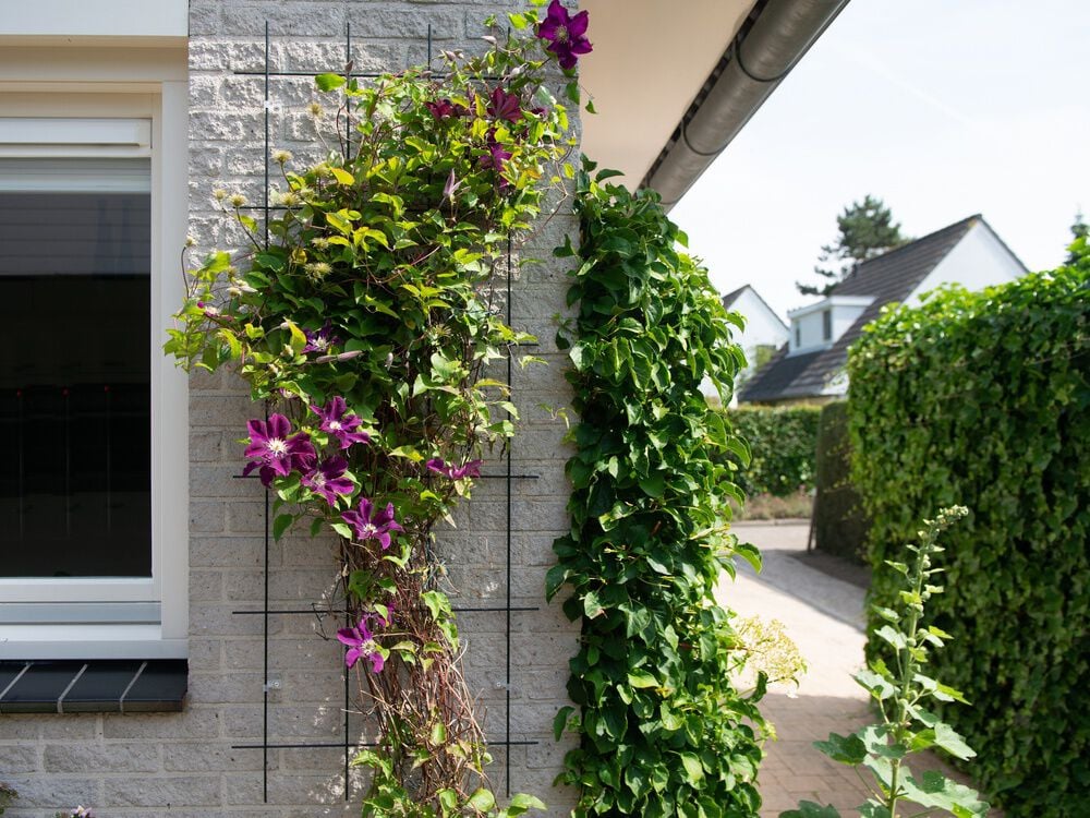 Nature - Klimrek - 145x145x145 cm