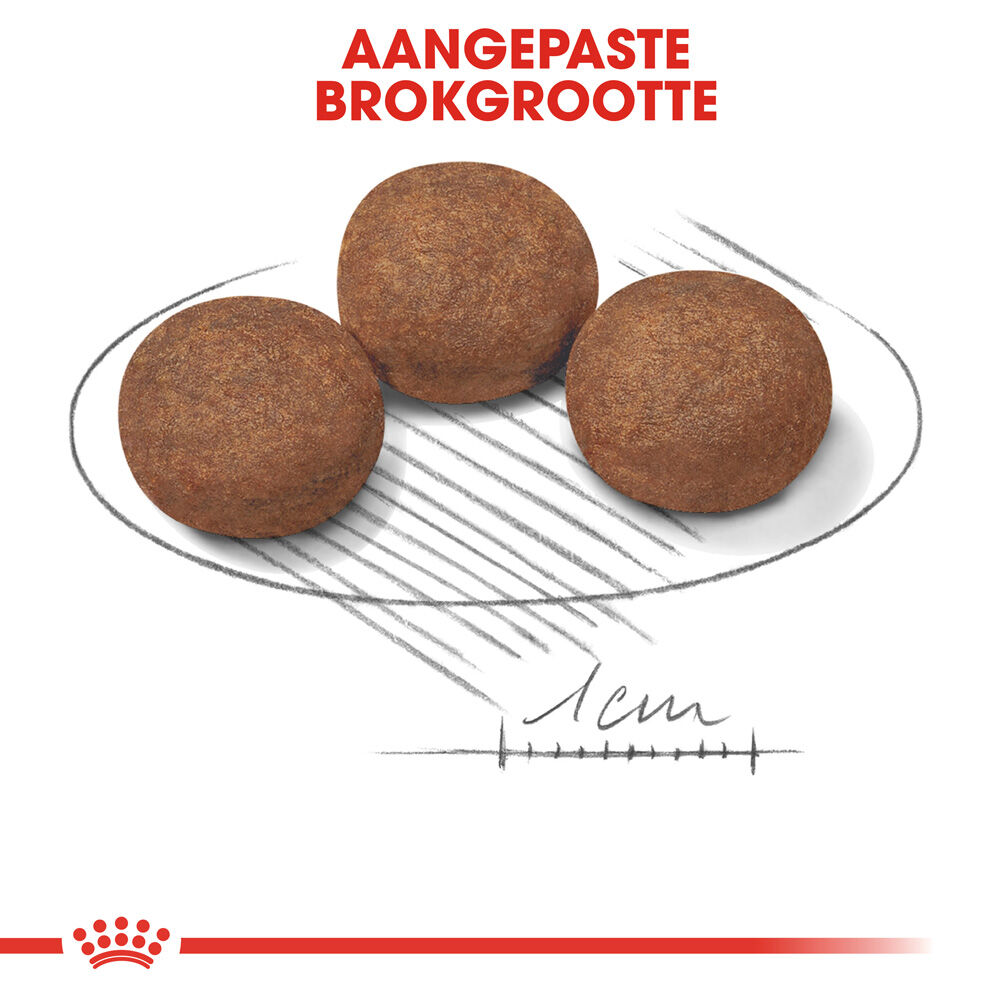 Royal Canin SHN Medium Junior - Hondenvoer - 15 Kilogram - gevogelte