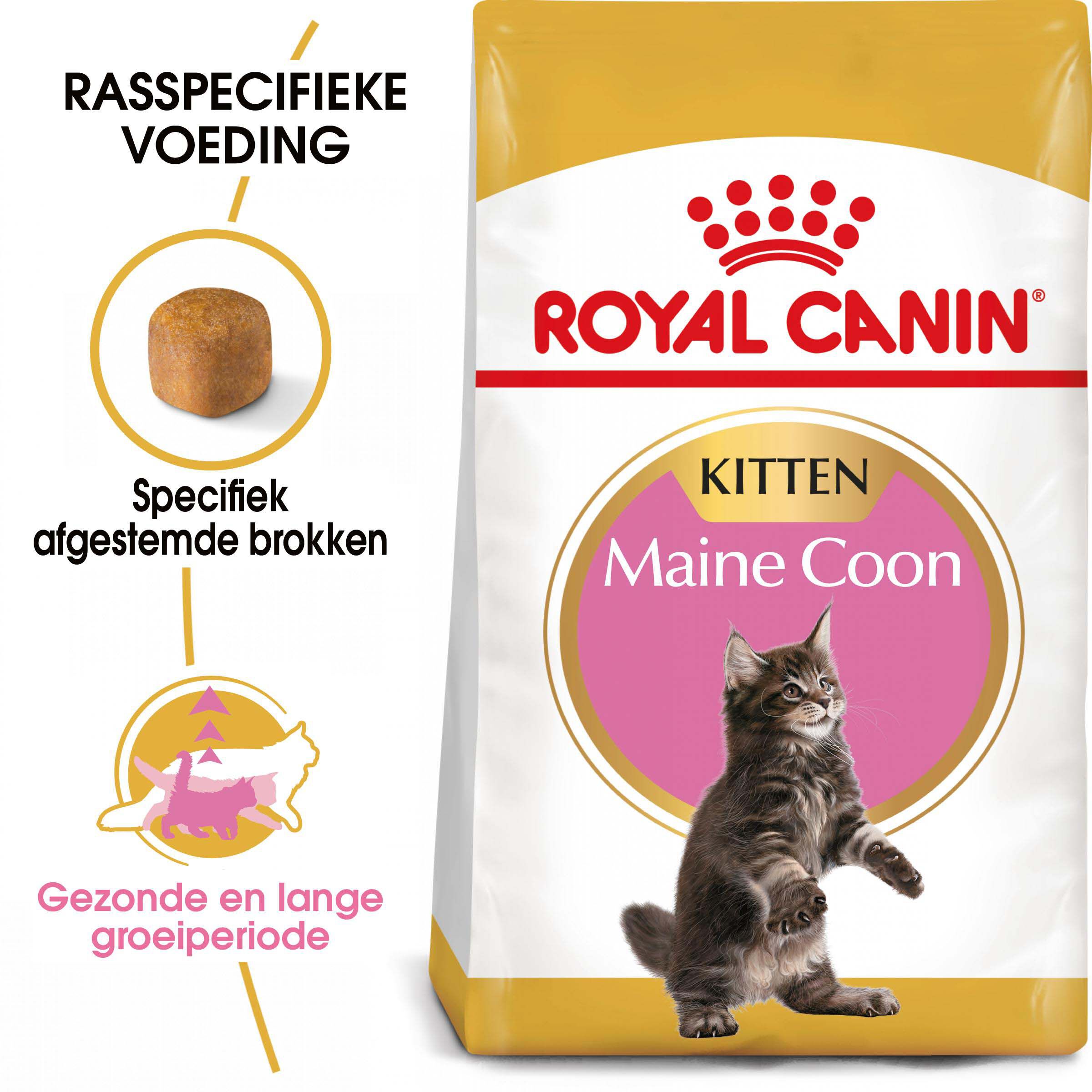 Royal Canin Maine Coon Kitten - Kattenvoer - 4 Kilogram - Gevogelte
