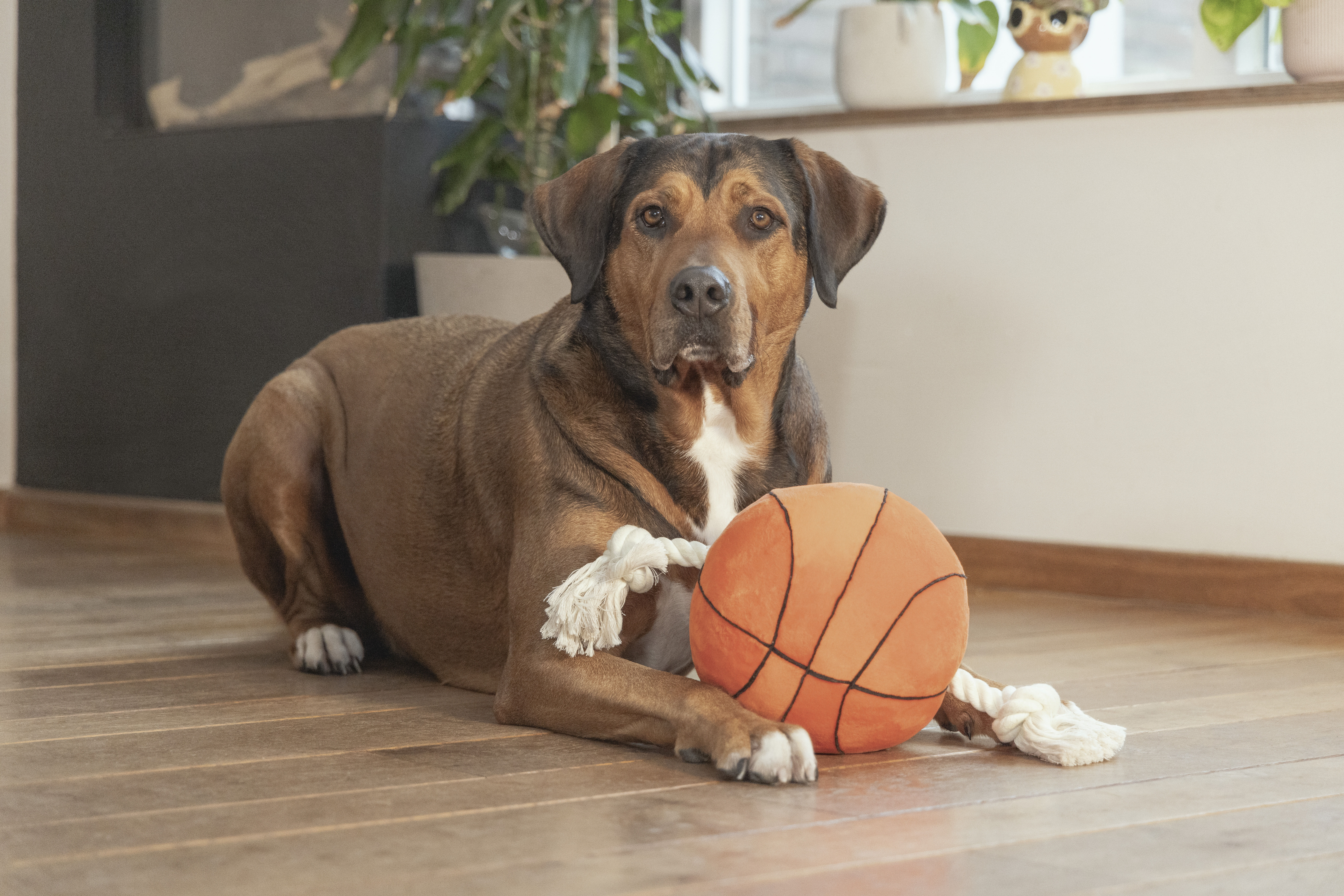 Beeztees Basketbal Pluche - Flostouw - Knuffels - Hondenspeelgoed