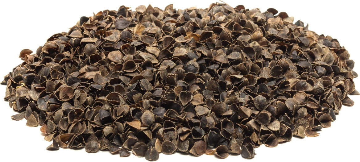 Welkoop Boekweitdoppen - Neststrooisel - 5 Liter