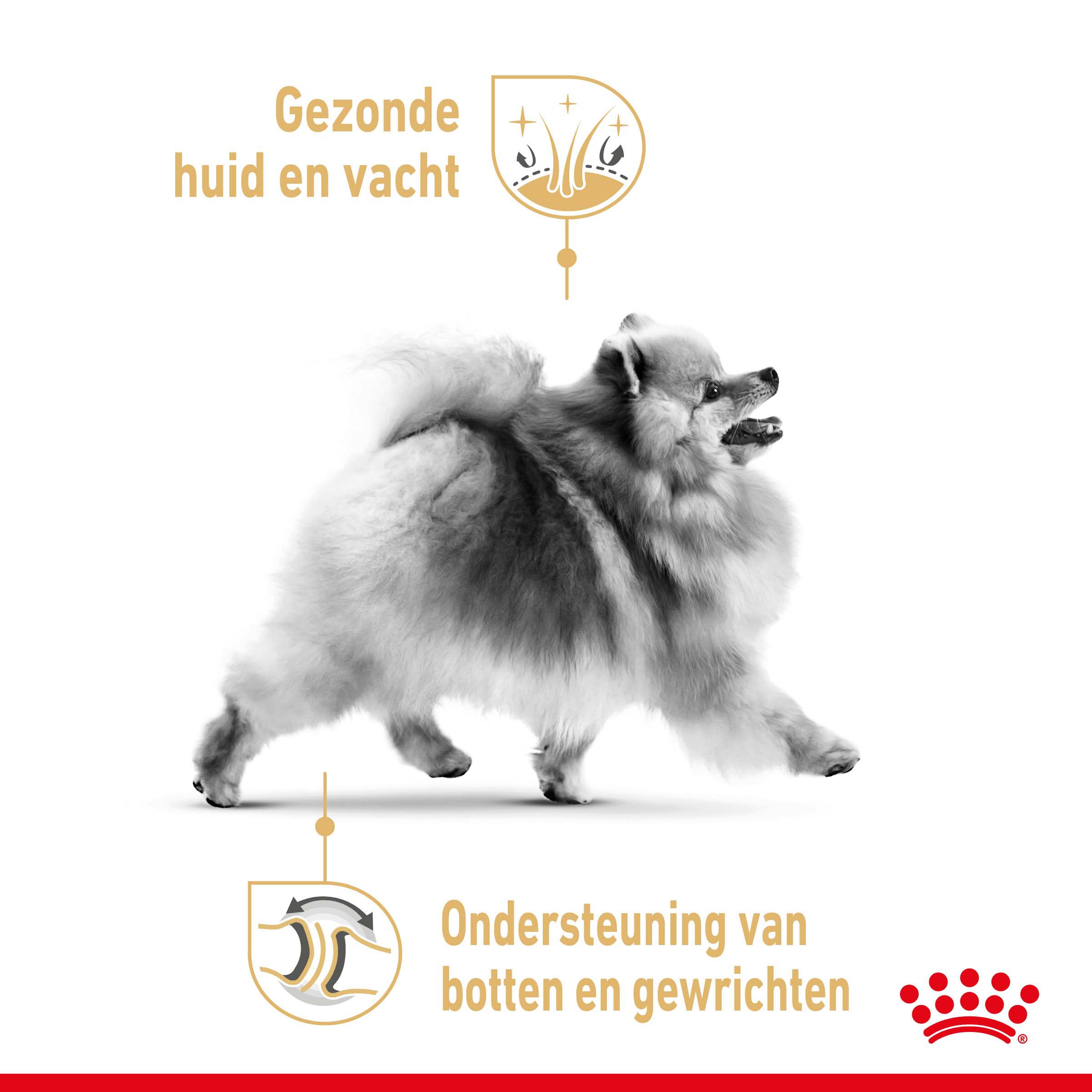 Royal Canin Pomeriaan Adult - Hondenvoer - 1.5 Kilogram - gevogelte