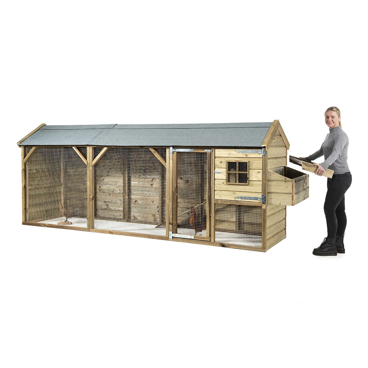 Glorenza  Eva - Kippenhok