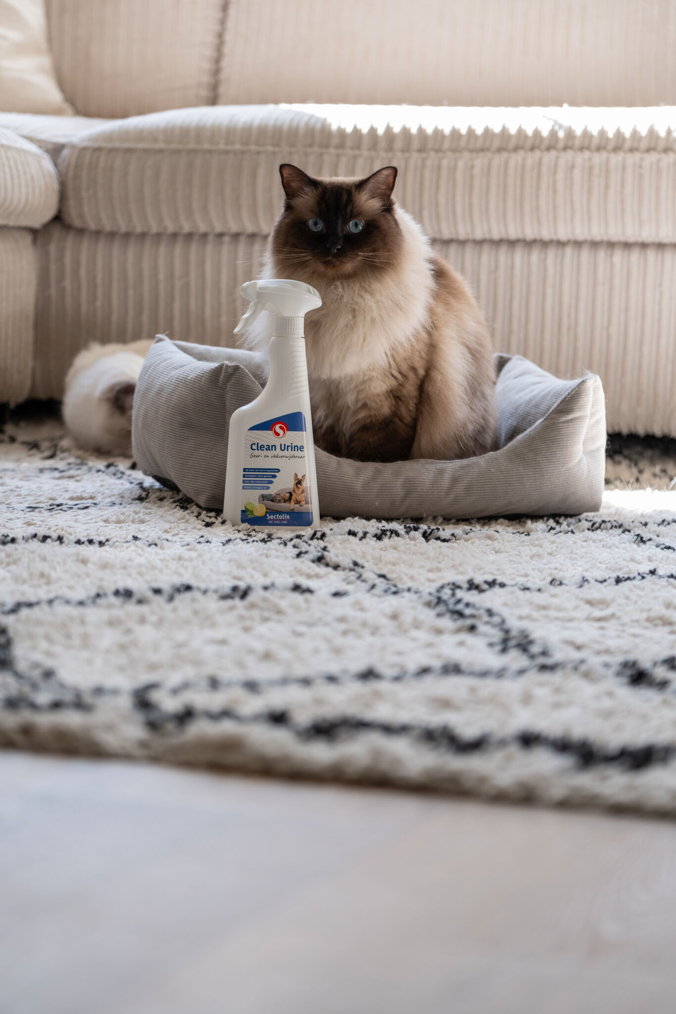 Sectolin Clean Urine - Geur en vlekverwijderaar Urinegeur Hond - 500 Milliliter