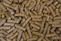Voermeesters Triomf - Sport/ Prestatie - 20 Kilogram - Zak