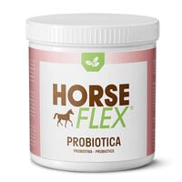 Horseflex - Probiotica - 125 Gram