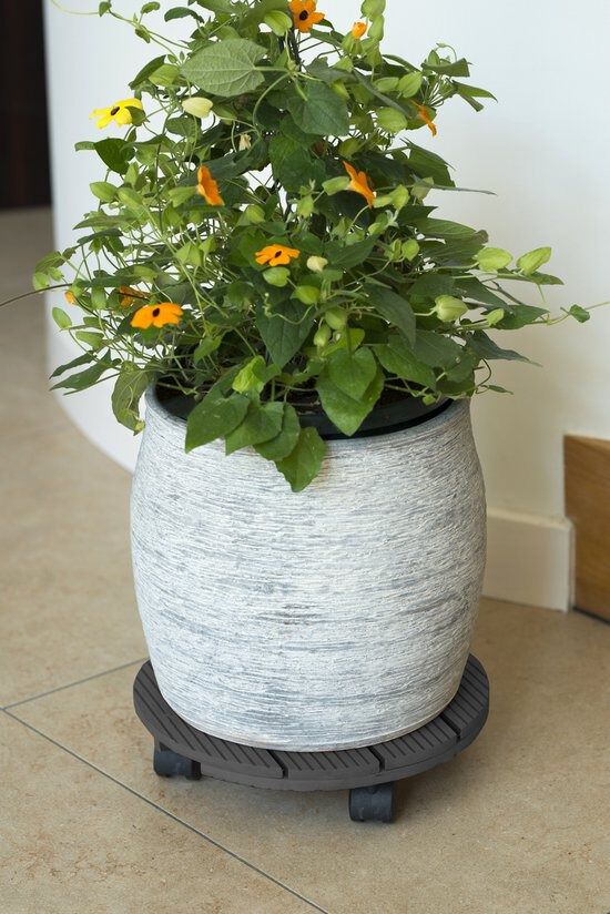 Nature - Plantentrolley - Antraciet - ⌀30 cm -