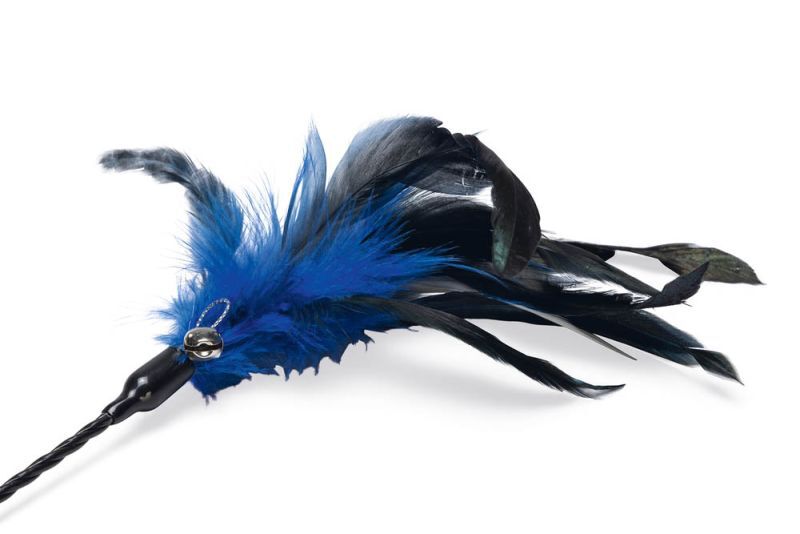 Beeztees Hengel Gekleurde veren - Kattenspeeltje - Multi