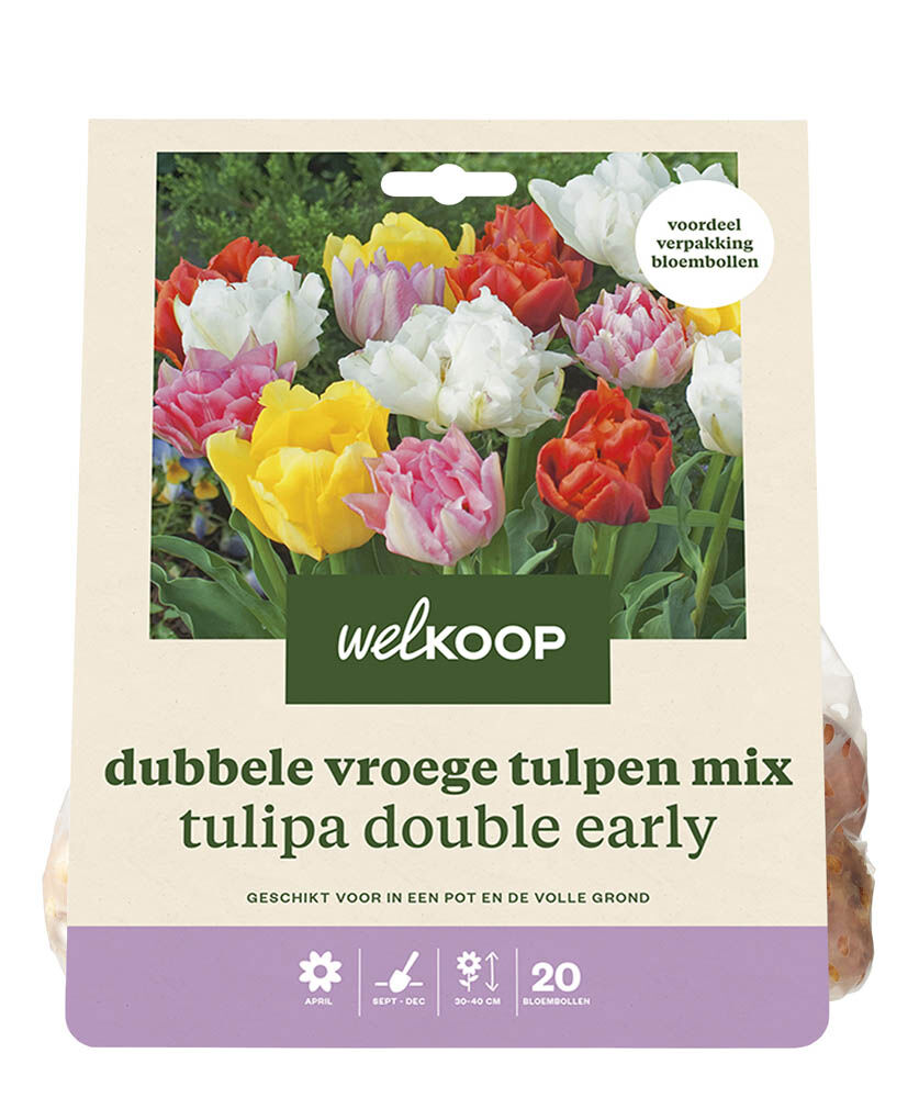 Welkoop Dubbele Tulpen mix  Ilona - Bloembollen