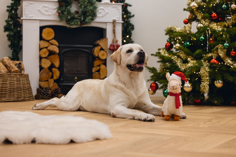 Beeztees Pluche Kerst  Lama Knuffel - Hondenspeelgoed - Wit - 29x20x20 cm