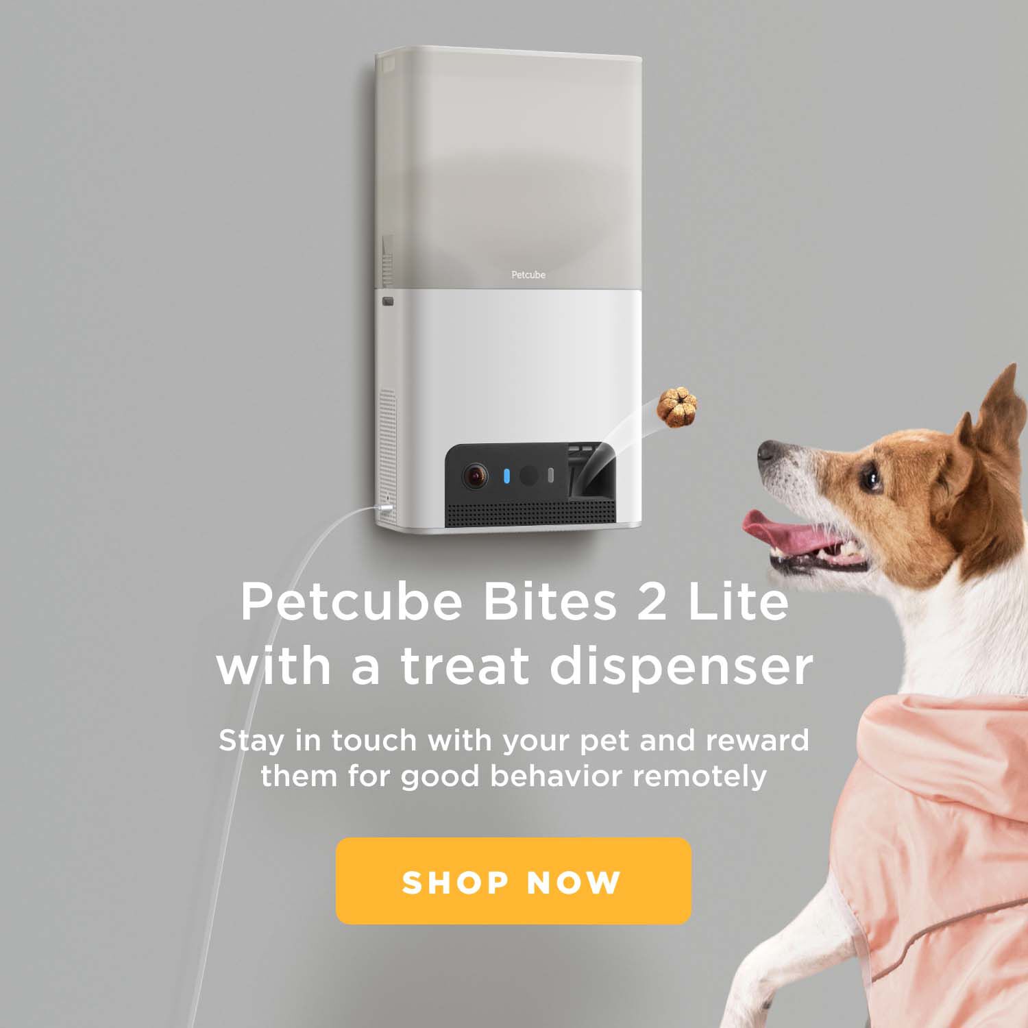 Petcube Bites 2 Lite - Pet Camera - Met Nachtvisie - Met Snack Functie