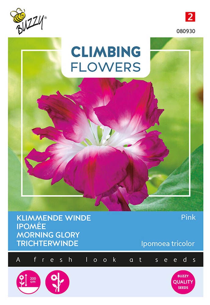 Buzzy Climbing Flowers Ipomoea Dubbel Rose - Bloemzaden Buzzy Climbing Flowers Ipomoea Dubbel Rose - Bloemzaden