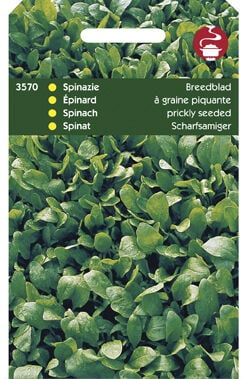 Hortitops Spinazie Spinacia oleracea Breedblad Scherpzaad,Zomer - Spinazie